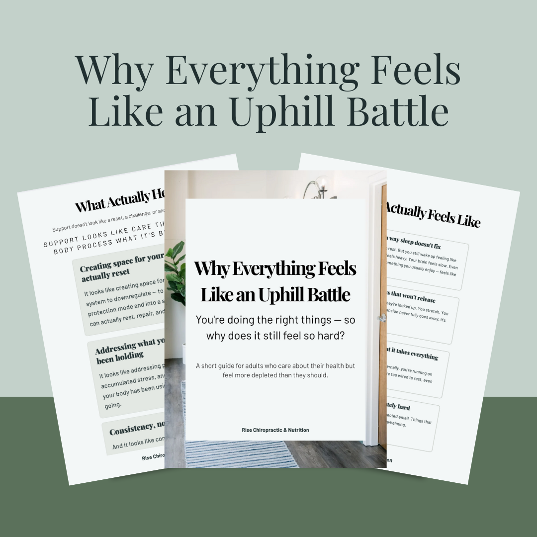 Modern Neutral Freebie Lead Magnet Mockup Instagram Post